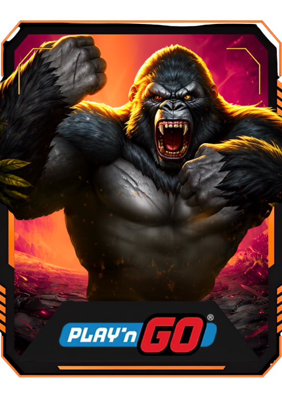 PLAYNGO
